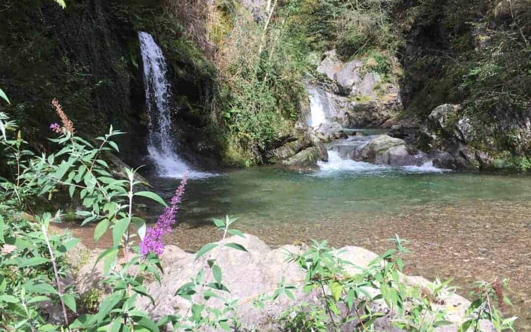 sommerliches Yogawochenende       18. – 21. August 2022 (Maria Himmelfahrt)